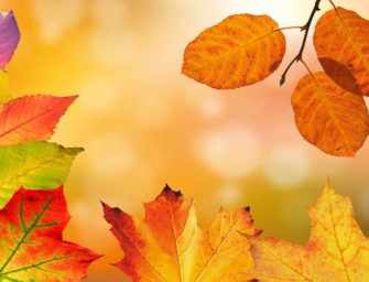 The Beautiful Fall Season is back