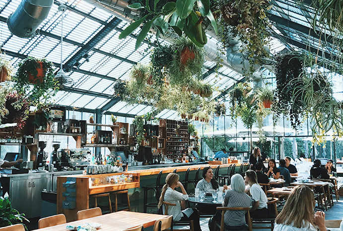greenhouse cafe