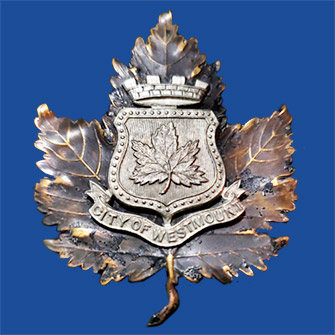 helmet plate