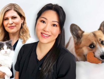 Dedicated veterinary care <br>with passion and expertise