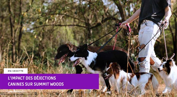 L'impact des déjections canines sur Summit Woods