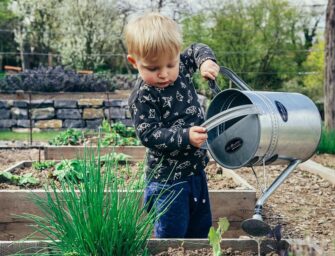 Workshops for neophytes or <br>seasoned urban gardeners
