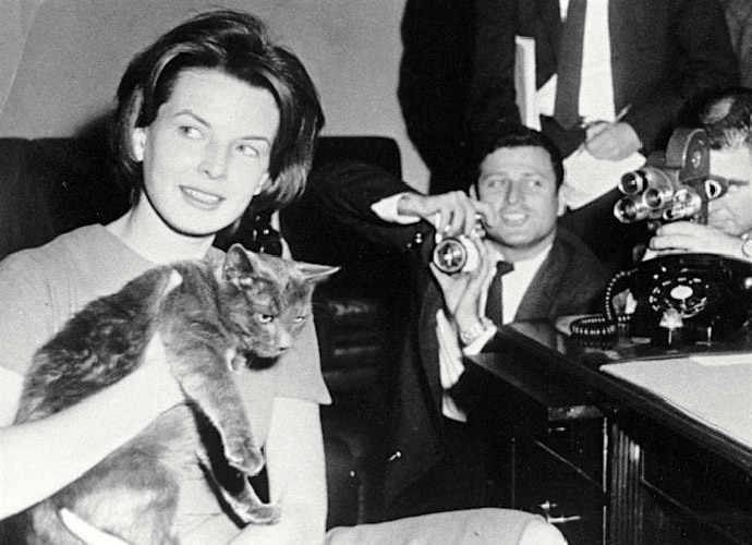 JFK cat Tom Kitten