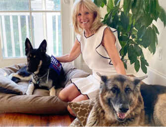 All The Presidents’ Dogs: <br>From Washington’s to Biden’s