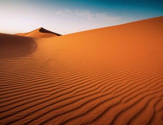 Portfolio manager: <br>Line in the Sand