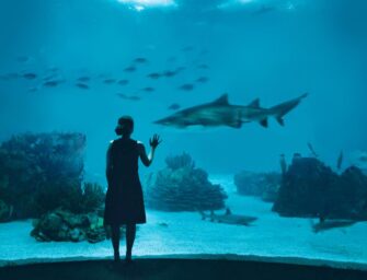 Do Montrealers really <br>want another aquarium?