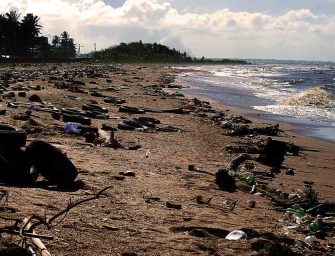 Extinction On My Mind /12: <br>“Extinction can also happen”