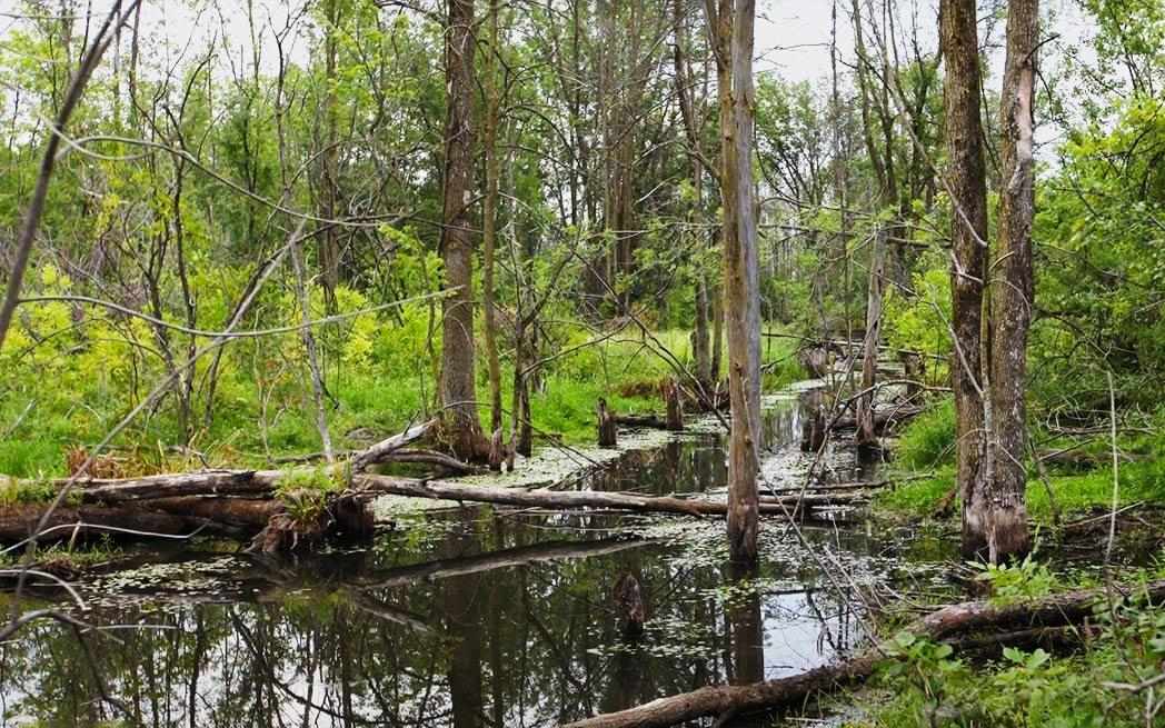 marais-technoparc_westmountmag