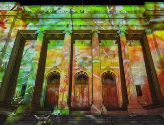 An immersive experience <br>into Hybrid Nature