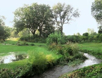 St. Pierre River: <br>too altered to be classified