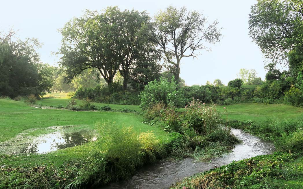 meadowbrook_1048
