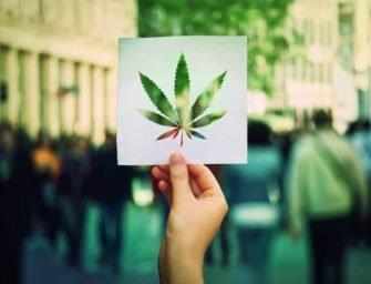 Medical cannabis and <br>Parkinson’s disease