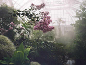 Glasshouses need <br>imagination to thrive /2