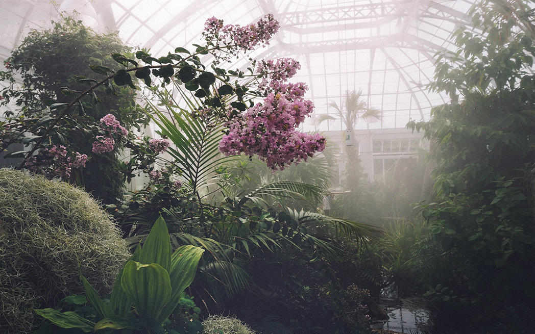 misty-greenhouse_westmountmag.ca