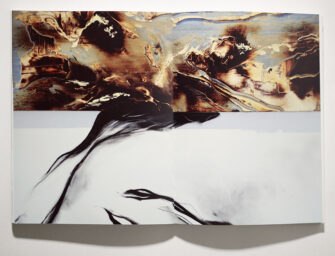 Monographie <br>de Yechel Gagnon