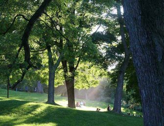 Discover Mount Royal <br>with les Amis de la montagne