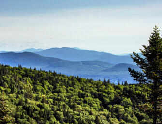 La nature procure <br>un répit de la pandémie
