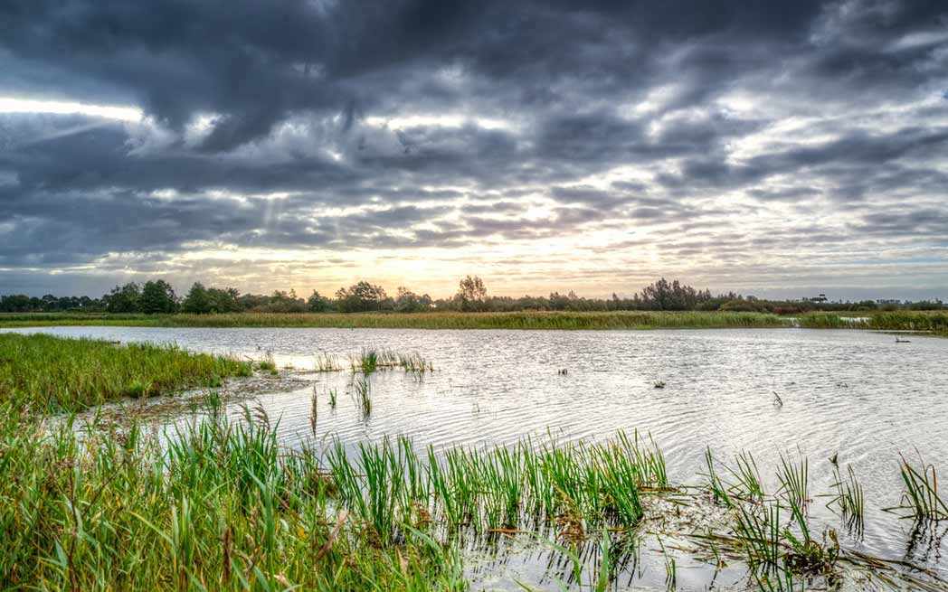 nature_westmountmag