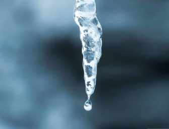 Pause for poetry: <br>Tamara Nazywalskyj /3