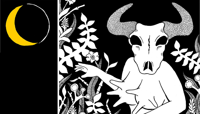 Night Cows promo