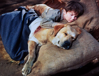 Presenting some wonder dogs <br>of the silver screen