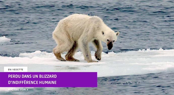 Perdu dans un blizzard d'indifférence humaine