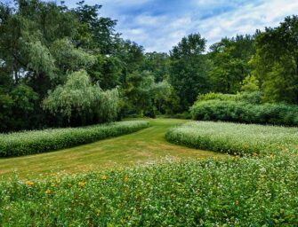 Helping save pollinators <br>one garden at a time