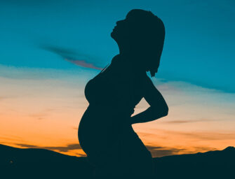 Stolen Motherhood: Surrogacy <br>and Made-to-Order Children