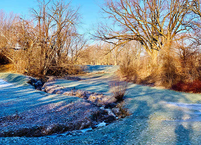 St. Pierre River Meadowbrook
