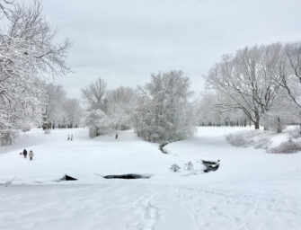 Are the St. Pierre River’s days numbered?