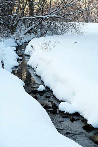 St. Pierre River at Meadowbrook