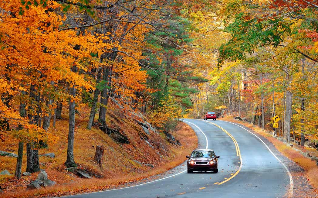road-in-autumn_1048