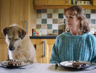 Ciné Gael Irish film festival <br>opens with a charming tale