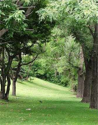 Selby Park - WestmountMag.ca