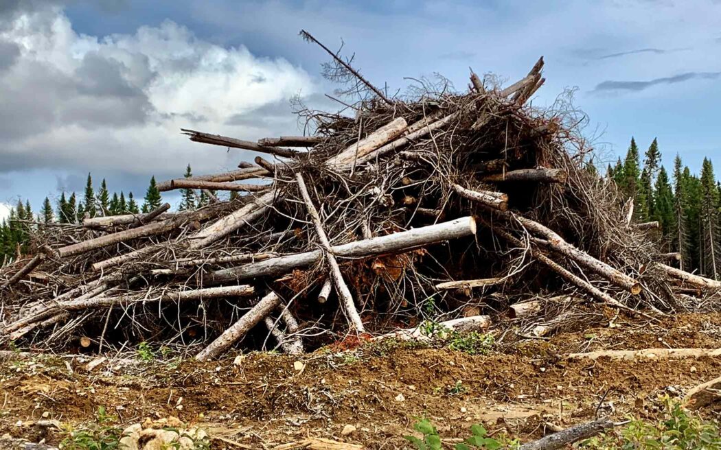 Slash-pile-2096