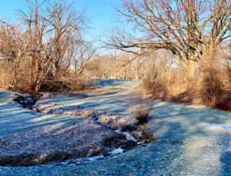A new way to protect <br>the St. Pierre River