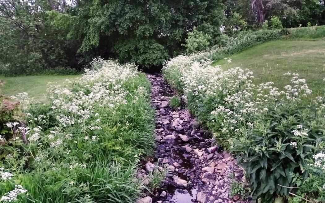 stream_st-pierre-river_westmountmag