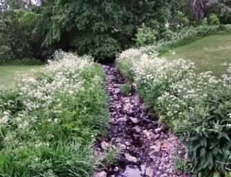 The St. Pierre River <br>must be protected