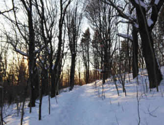 Take a walk to <br>Westmount’s wild side