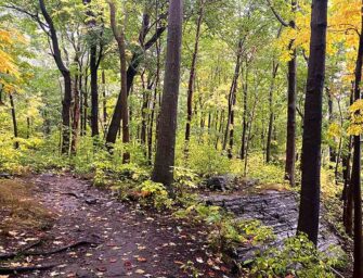 Westmount Park United Church <br>takes the environment to heart