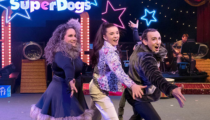 SuperDogs