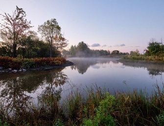 Protection requested <br>for Technoparc Ecosystem