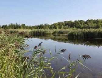 We must act swiftly to save our wilderness and biodiversity