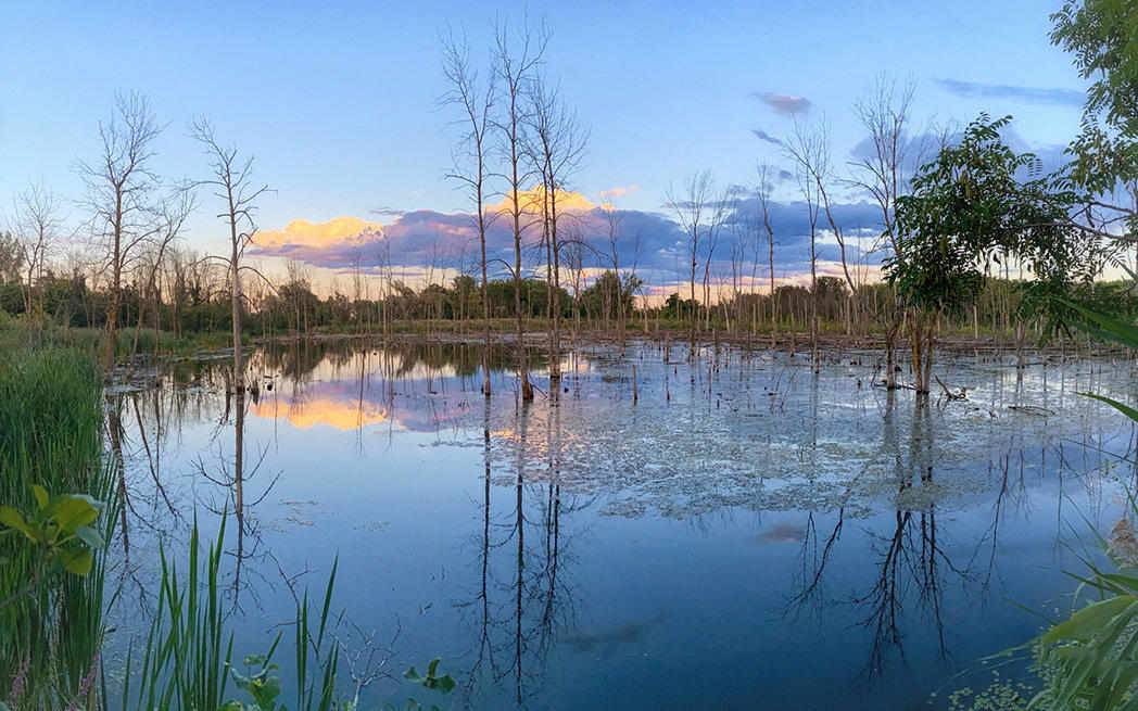 Technoparc_pond_westmountmag