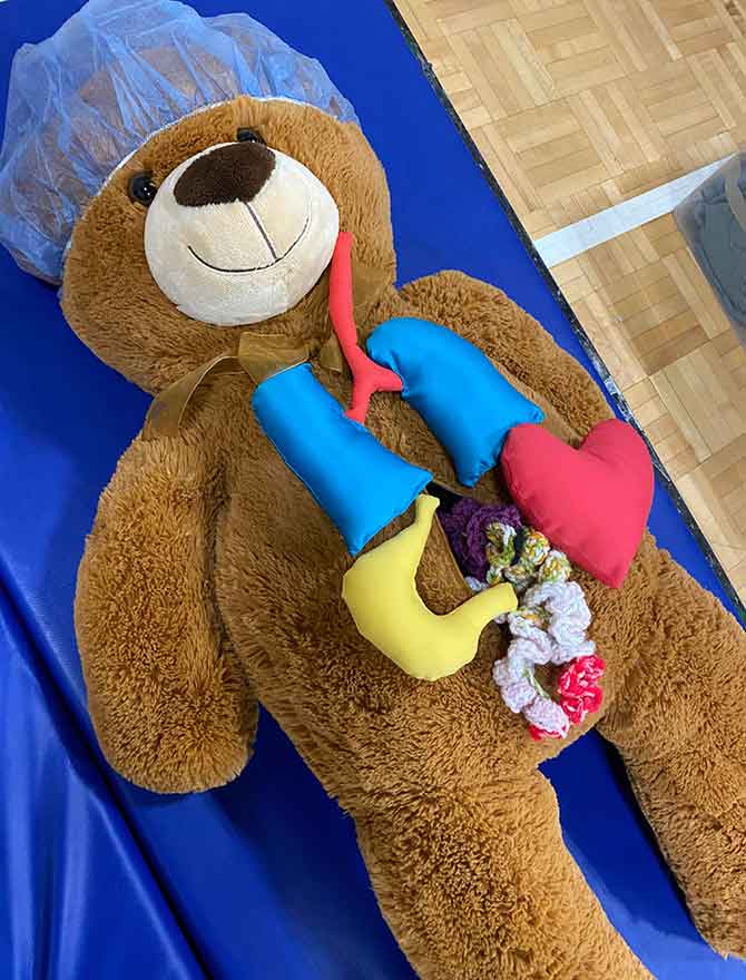 Teddy Bear Hospital