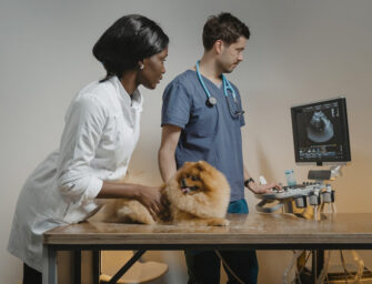 Veterinary sciences <br>ethics under scrutiny