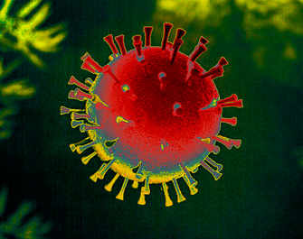 virus 