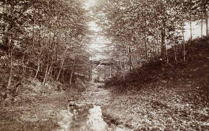 The Glen