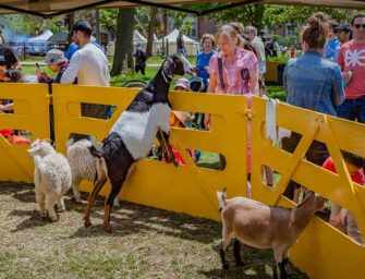 Another day of family fun <br>in Westmount Park