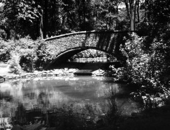 Thoughts on Westmount Park <br>and the latest renewal project